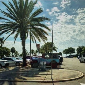 Meet your Posher, Kitty